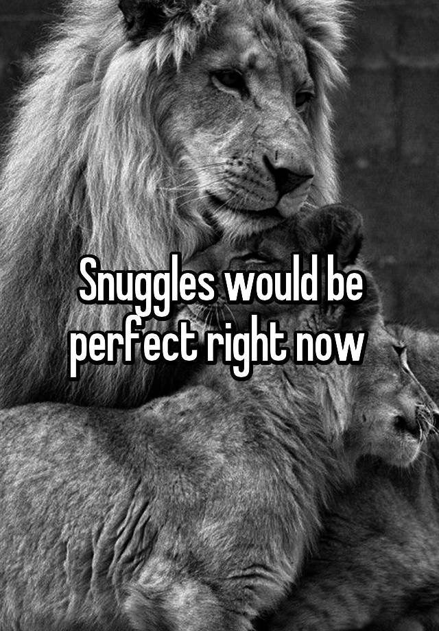 Snuggles would be perfect right now 