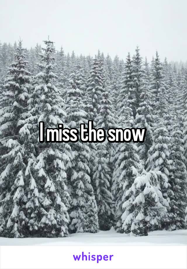 I miss the snow 