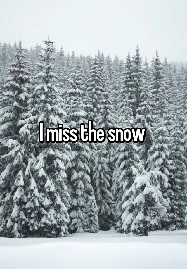 I miss the snow 