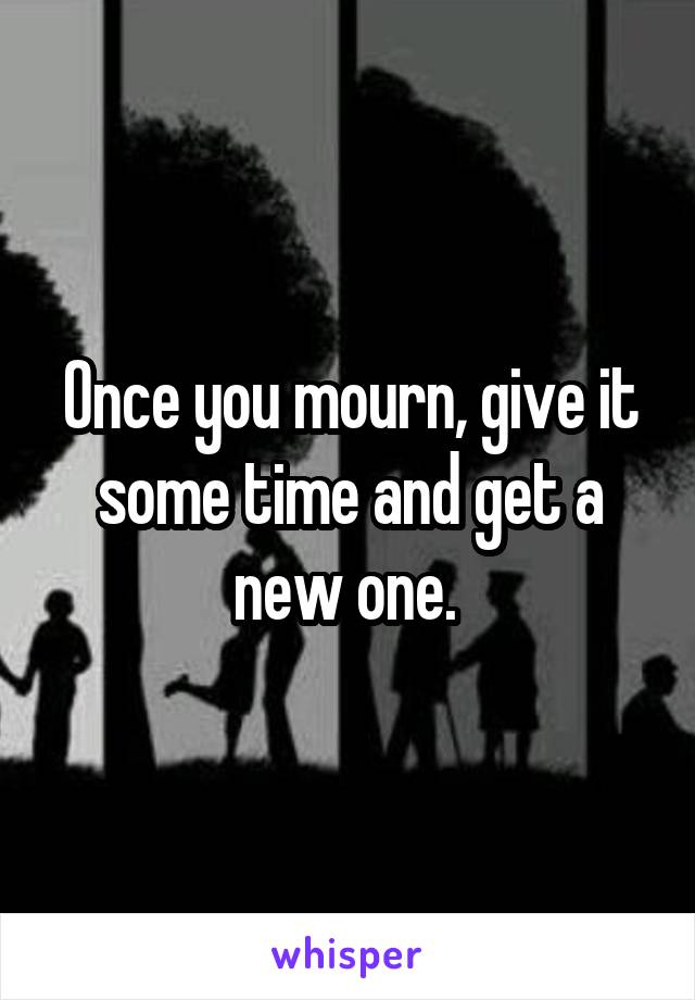 Once you mourn, give it some time and get a new one. 