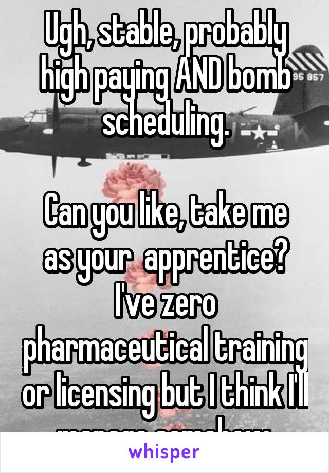 Ugh, stable, probably high paying AND bomb scheduling.

Can you like, take me as your  apprentice? I've zero pharmaceutical training or licensing but I think I'll manage somehow.