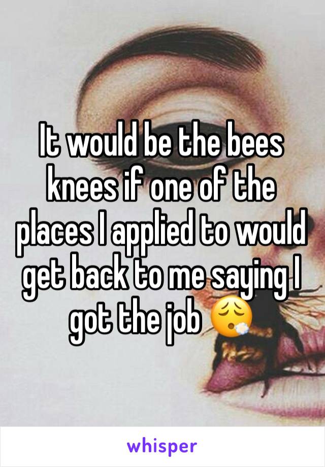 It would be the bees knees if one of the places I applied to would get back to me saying I got the job 😮‍💨