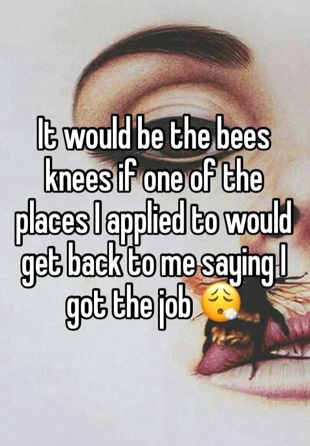 It would be the bees knees if one of the places I applied to would get back to me saying I got the job 😮‍💨