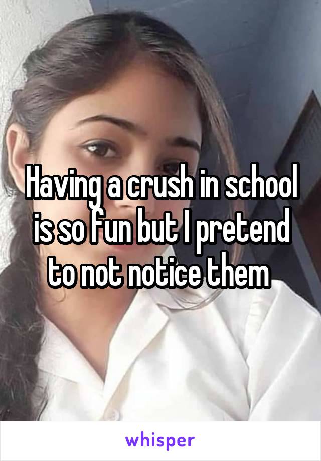 Having a crush in school is so fun but I pretend to not notice them 