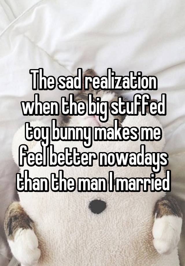 The sad realization when the big stuffed toy bunny makes me feel better nowadays than the man I married