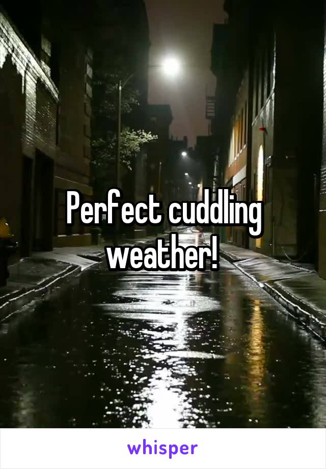 Perfect cuddling weather! 