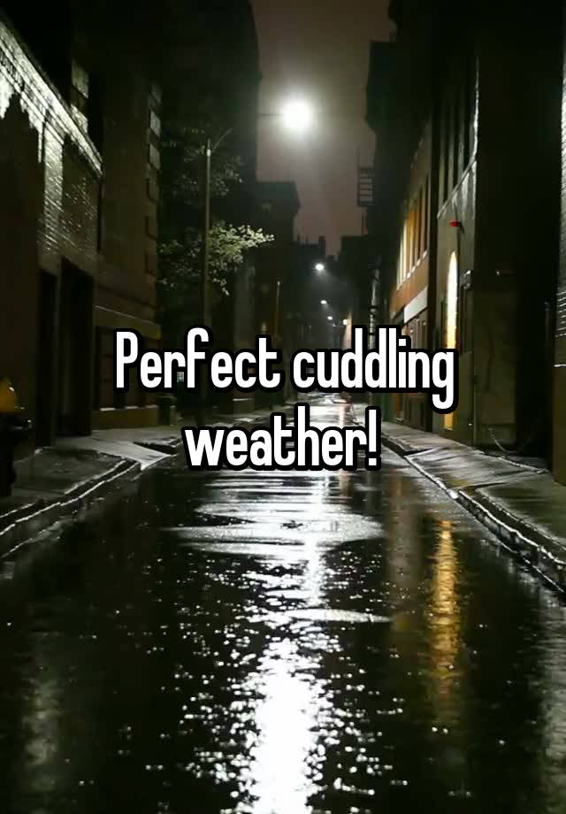 Perfect cuddling weather! 