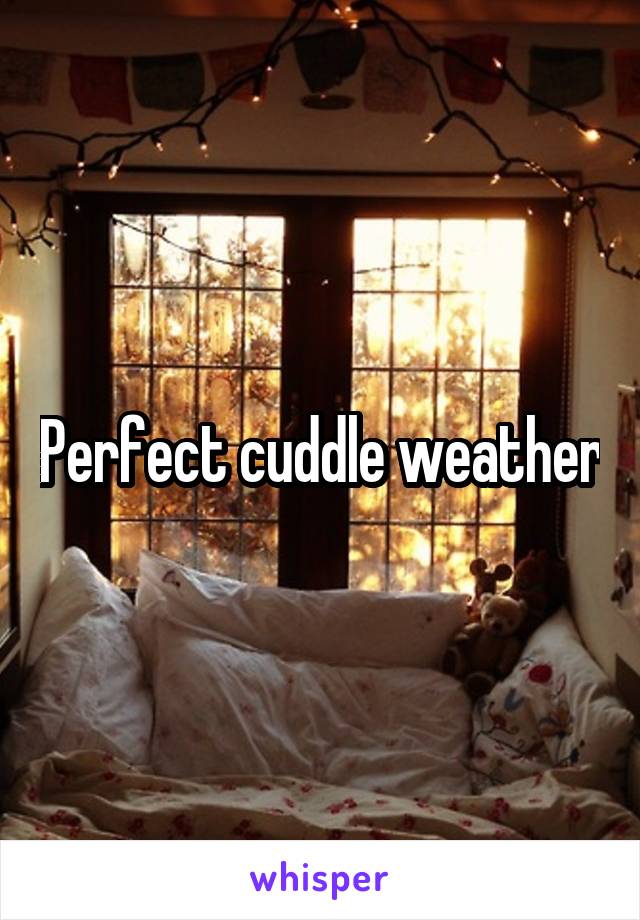 Perfect cuddle weather