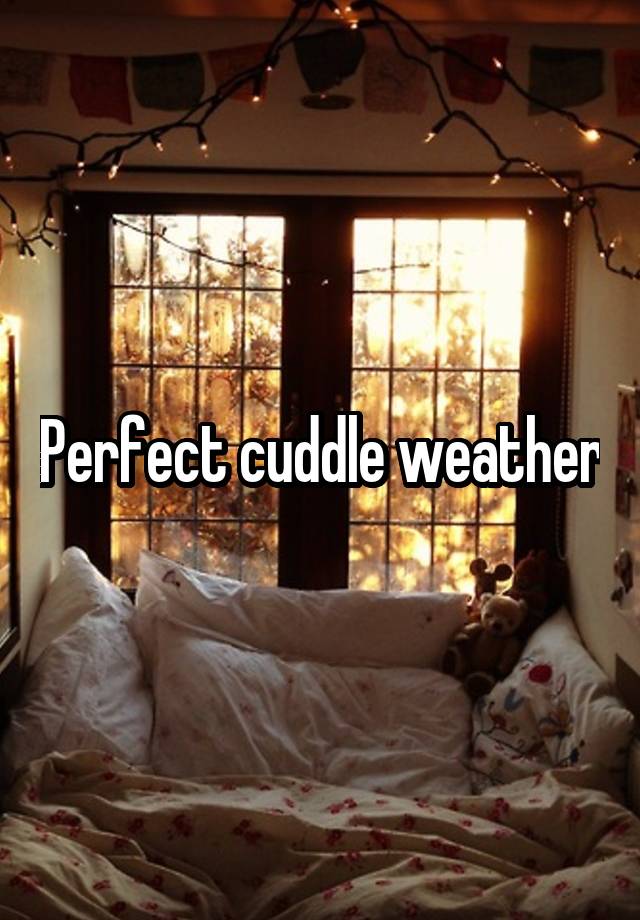 Perfect cuddle weather