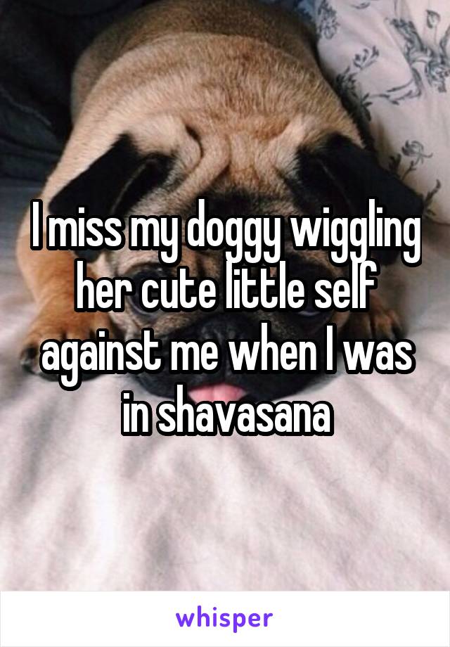 I miss my doggy wiggling her cute little self against me when I was in shavasana