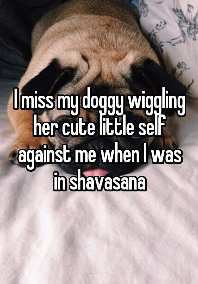 I miss my doggy wiggling her cute little self against me when I was in shavasana