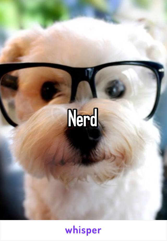 Nerd 