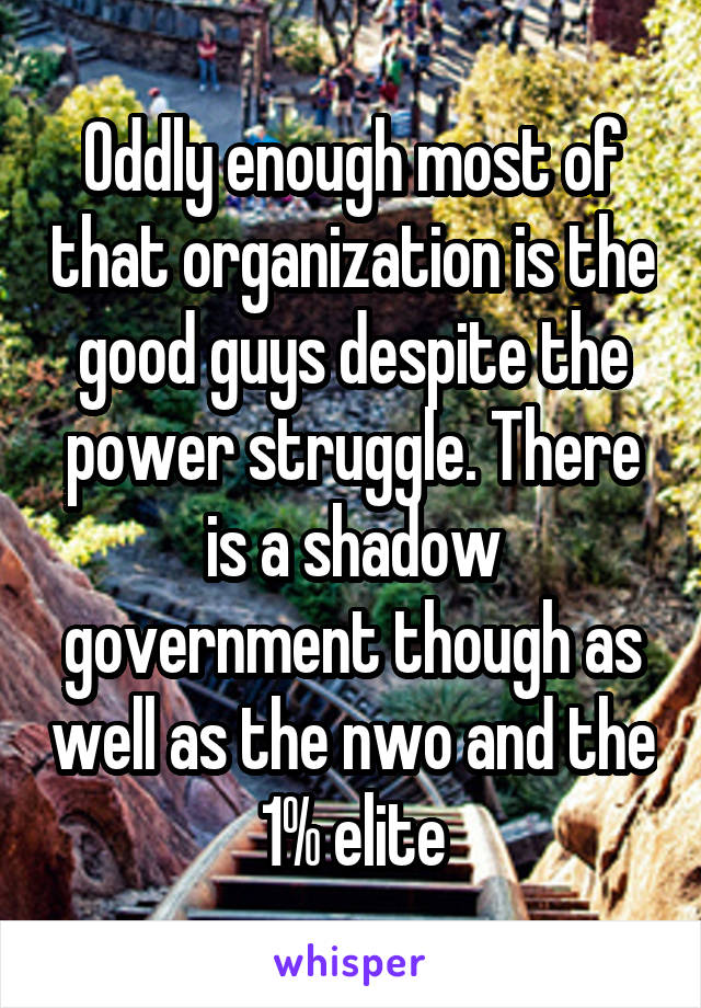 Oddly enough most of that organization is the good guys despite the power struggle. There is a shadow government though as well as the nwo and the 1% elite