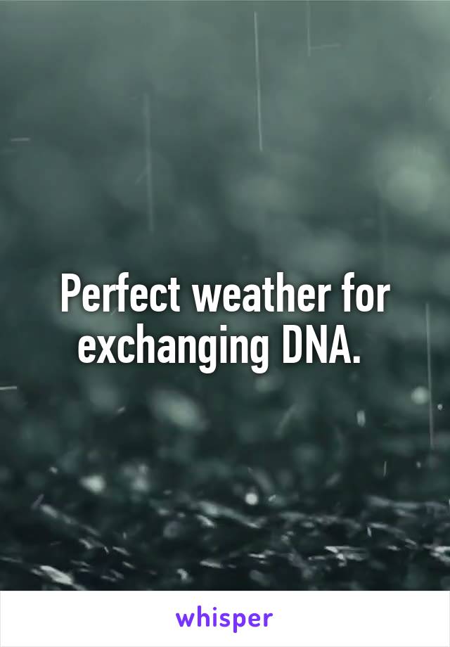 Perfect weather for exchanging DNA. 