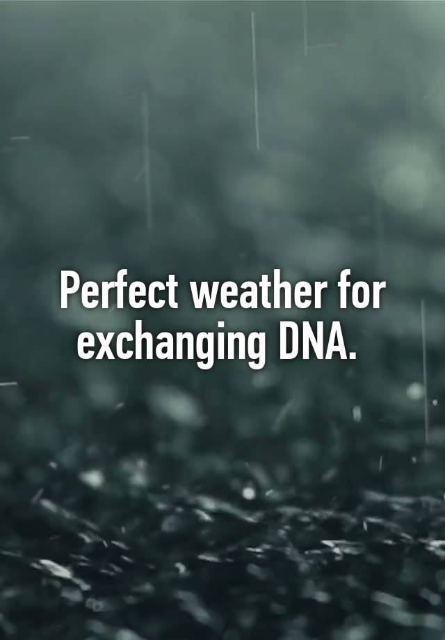 Perfect weather for exchanging DNA. 