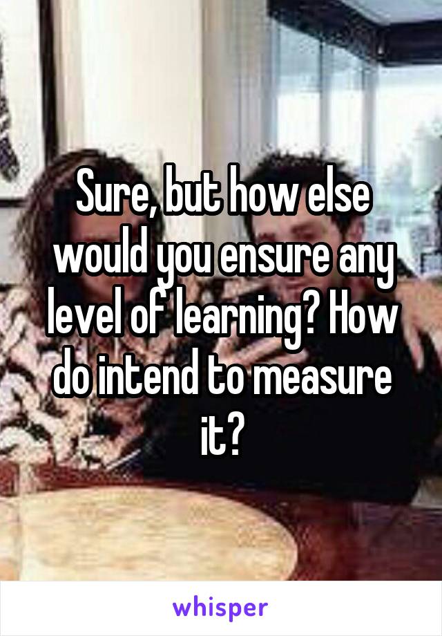 Sure, but how else would you ensure any level of learning? How do intend to measure it?