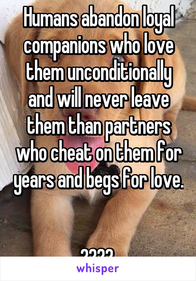 Humans abandon loyal companions who love them unconditionally and will never leave them than partners who cheat on them for years and begs for love. 

???? 