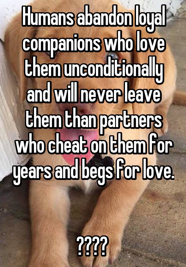 Humans abandon loyal companions who love them unconditionally and will never leave them than partners who cheat on them for years and begs for love. 

???? 