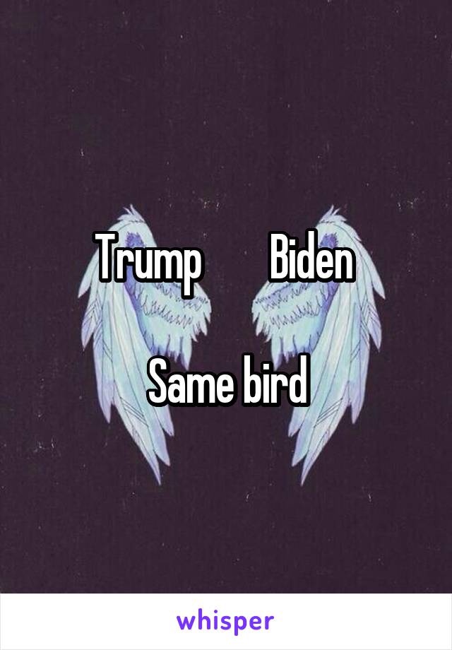 Trump        Biden 

Same bird