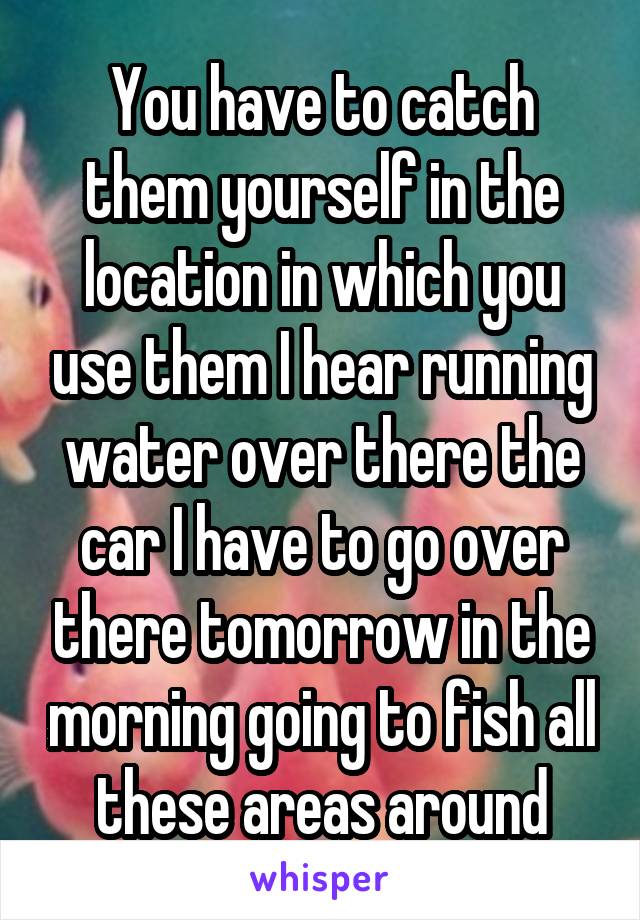 You have to catch them yourself in the location in which you use them I hear running water over there the car I have to go over there tomorrow in the morning going to fish all these areas around