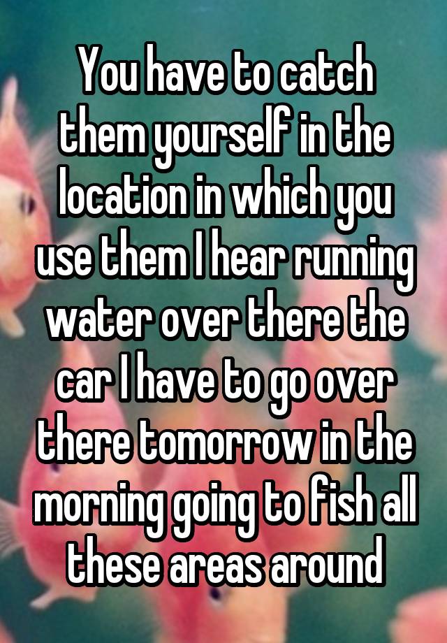 You have to catch them yourself in the location in which you use them I hear running water over there the car I have to go over there tomorrow in the morning going to fish all these areas around