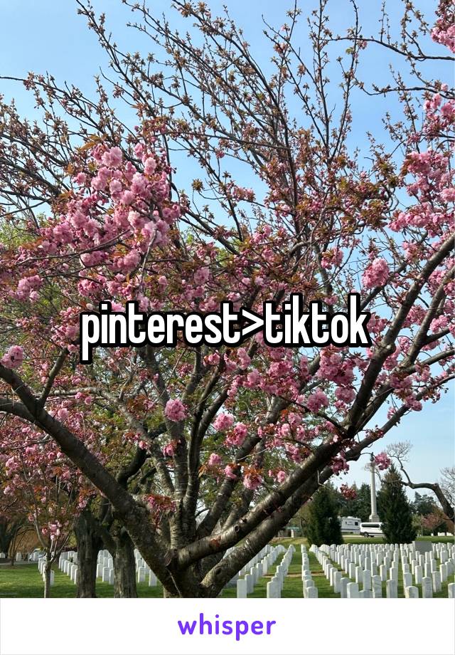 pinterest>tiktok 