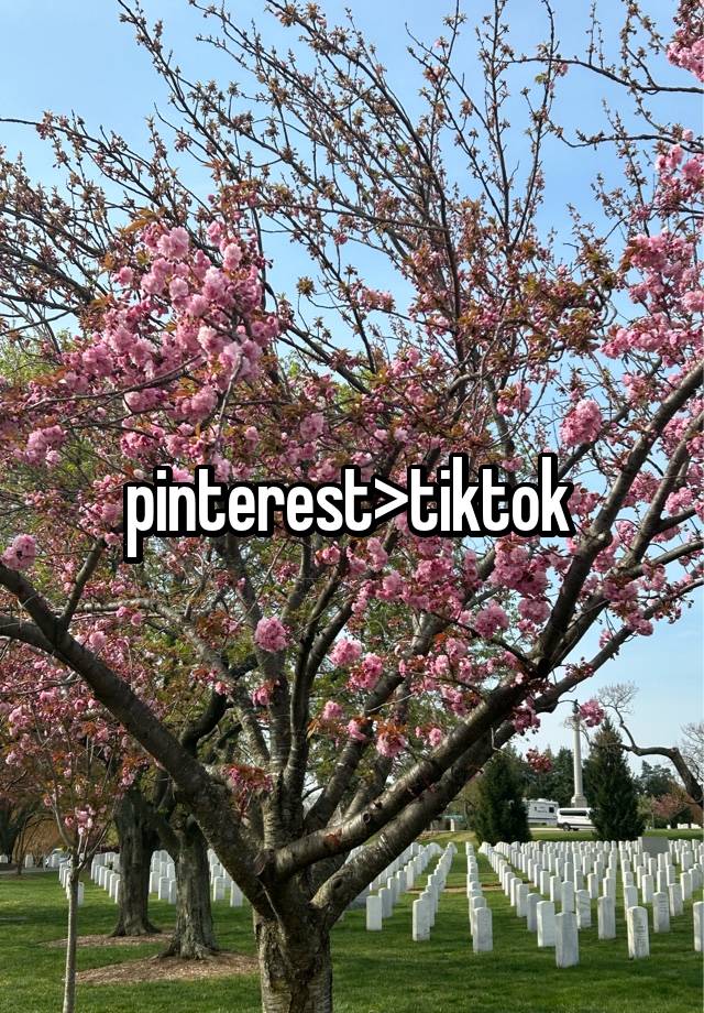 pinterest>tiktok 