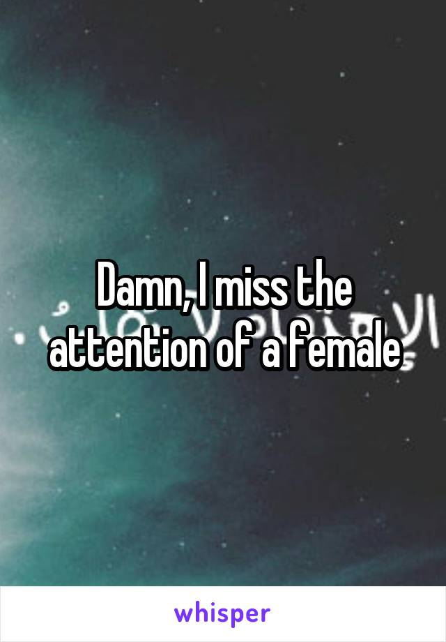 Damn, I miss the attention of a female