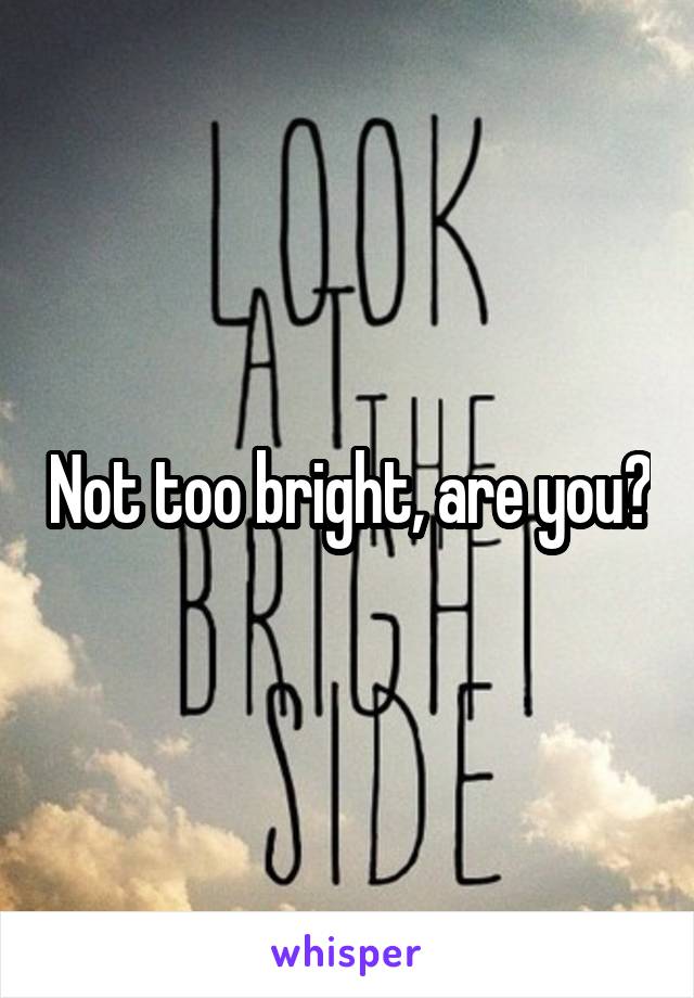 Not too bright, are you?