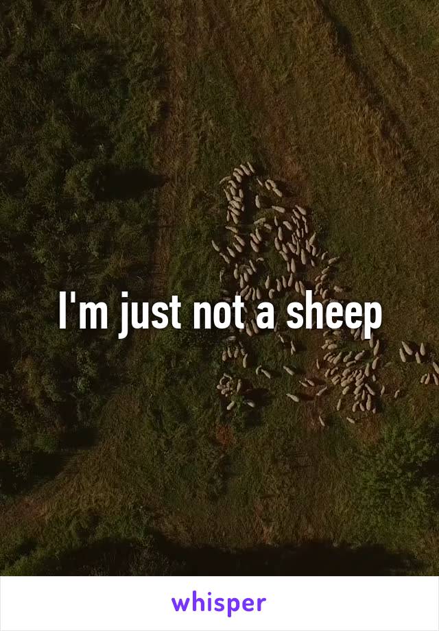 I'm just not a sheep