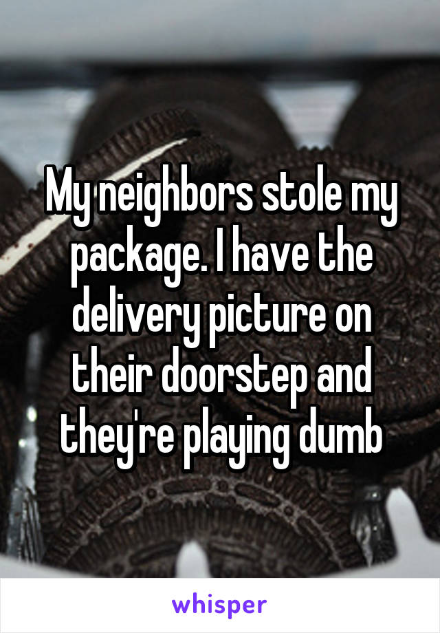 My neighbors stole my package. I have the delivery picture on their doorstep and they're playing dumb