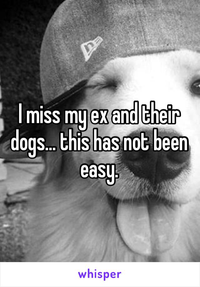 I miss my ex and their dogs… this has not been easy.