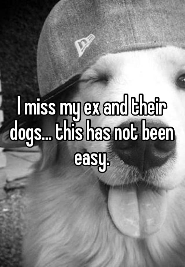 I miss my ex and their dogs… this has not been easy.