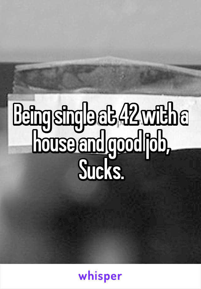 Being single at 42 with a house and good job,
Sucks.