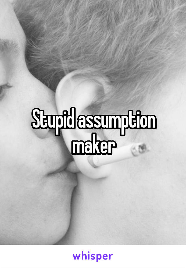 Stupid assumption maker