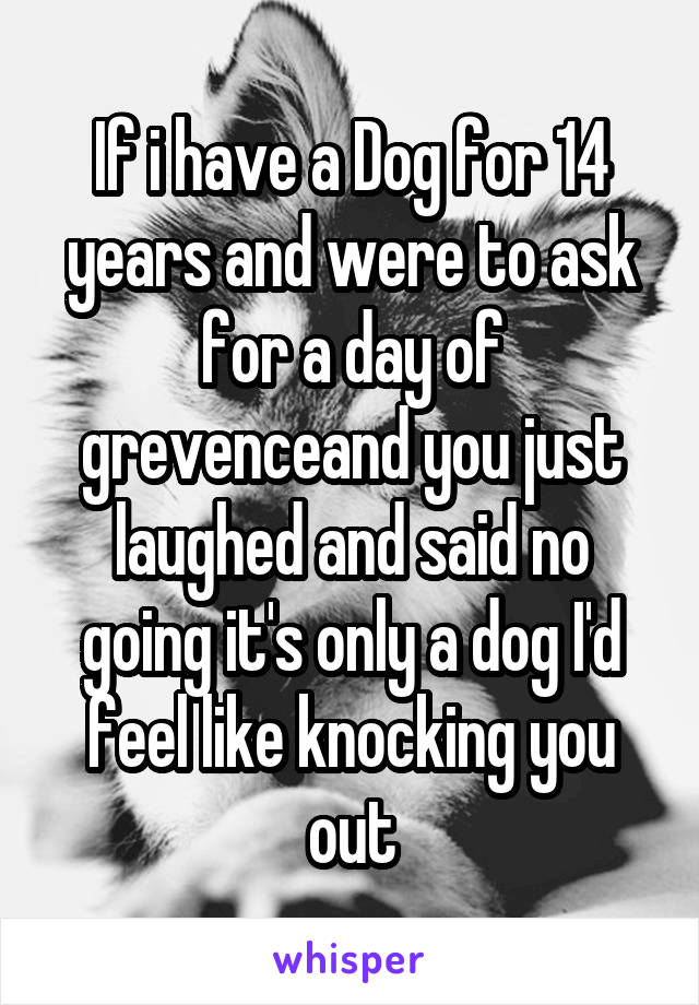 If i have a Dog for 14 years and were to ask for a day of grevenceand you just laughed and said no going it's only a dog I'd feel like knocking you out