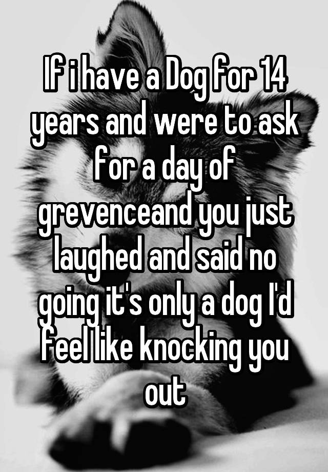 If i have a Dog for 14 years and were to ask for a day of grevenceand you just laughed and said no going it's only a dog I'd feel like knocking you out