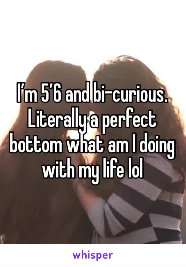 I’m 5’6 and bi-curious. Literally a perfect bottom what am I doing with my life lol