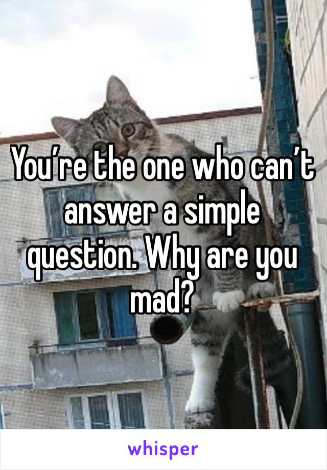 You’re the one who can’t answer a simple question. Why are you mad? 