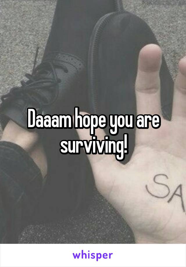 Daaam hope you are surviving!