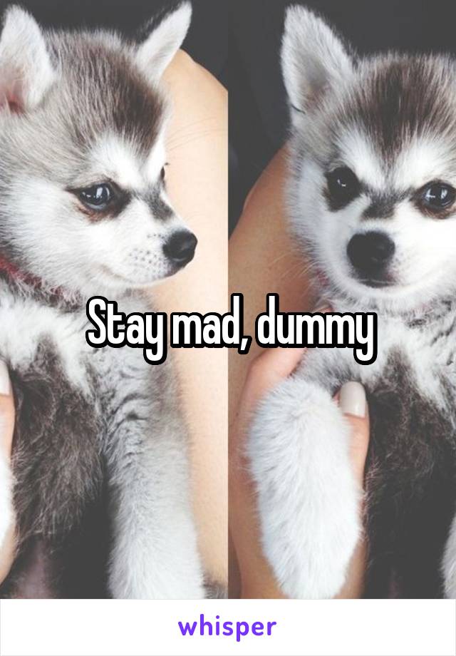 Stay mad, dummy