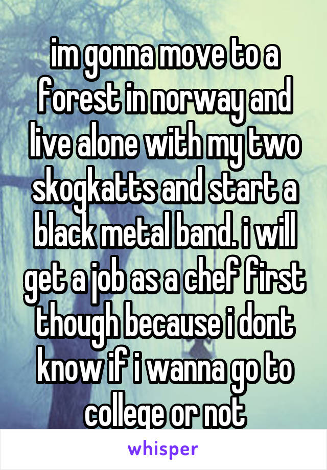 im gonna move to a forest in norway and live alone with my two skogkatts and start a black metal band. i will get a job as a chef first though because i dont know if i wanna go to college or not