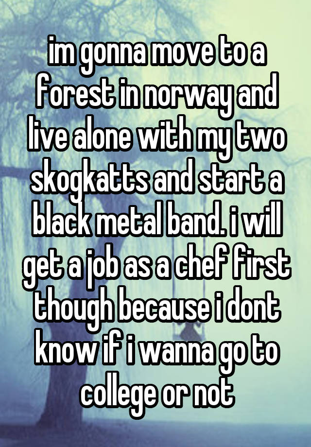 im gonna move to a forest in norway and live alone with my two skogkatts and start a black metal band. i will get a job as a chef first though because i dont know if i wanna go to college or not