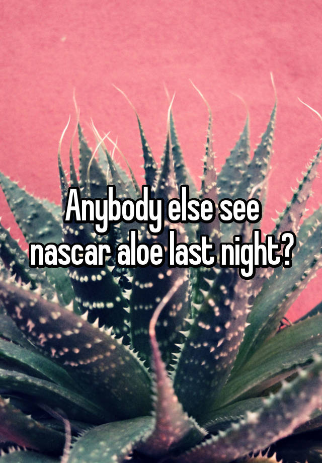 Anybody else see nascar aloe last night?