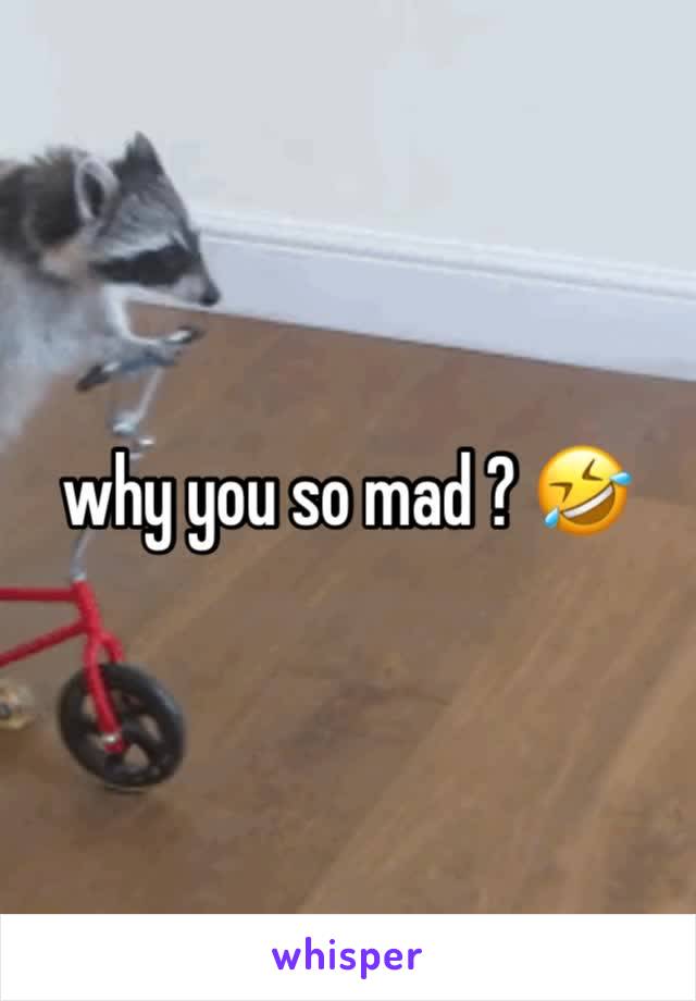 why you so mad ? 🤣