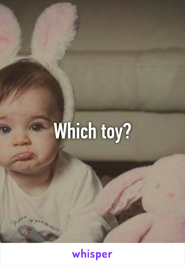 Which toy?