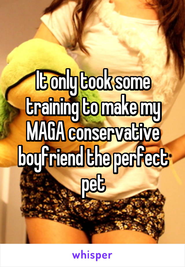 It only took some training to make my MAGA conservative boyfriend the perfect pet