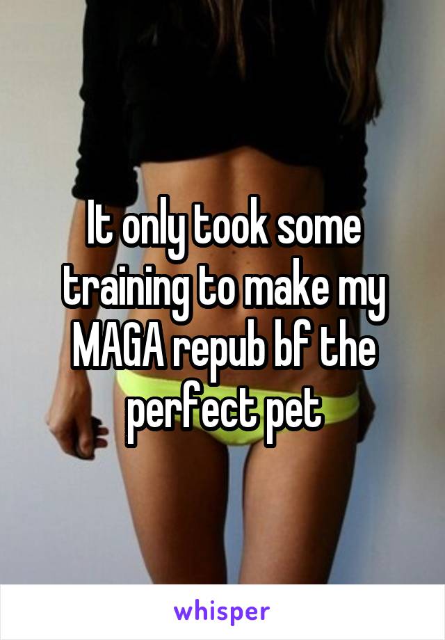 It only took some training to make my MAGA repub bf the perfect pet