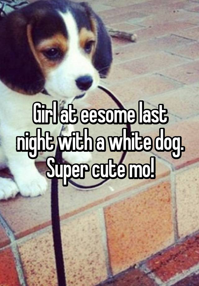 Girl at eesome last night with a white dog. Super cute mo!