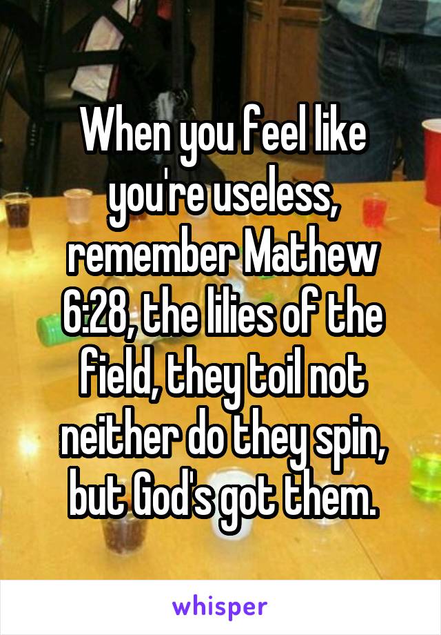 When you feel like you're useless, remember Mathew 6:28, the lilies of the field, they toil not neither do they spin, but God's got them.